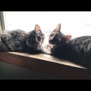 Meet your Posher, Marla